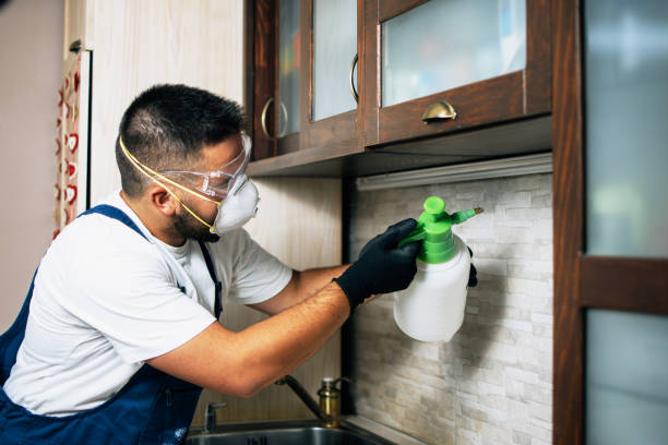 Best Pest Control Near Me  in Sterling, GA