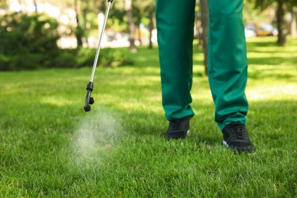 Best Best Pest Control Companies  in Sterling, GA
