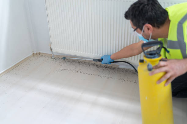 Best Commercial Pest Control Services  in Sterling, GA
